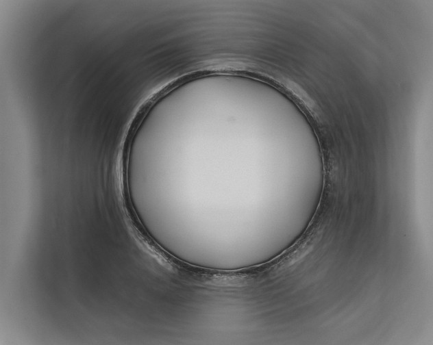 X0000112400840200909041334