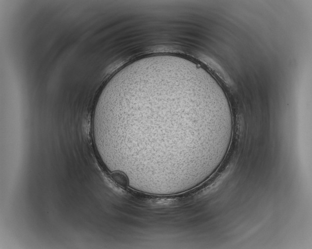 X0000112400841200909041334