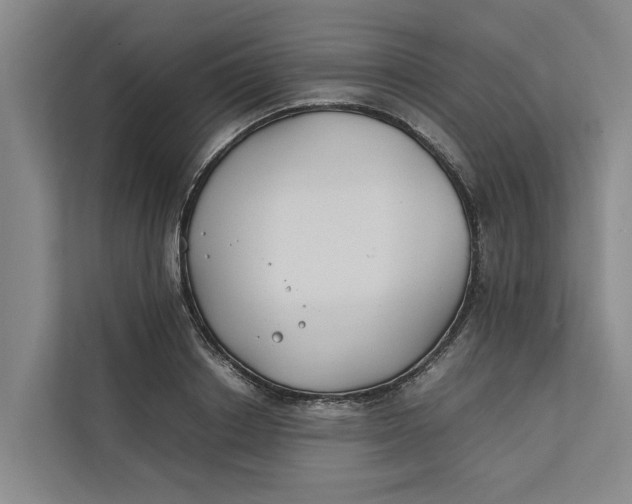 X0000112400842200909041334