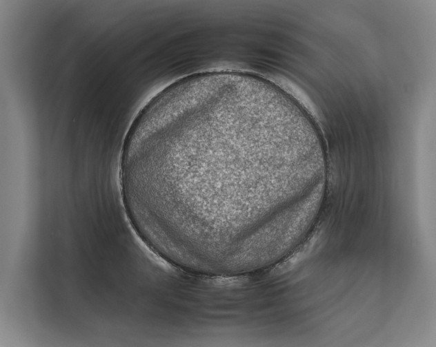 X0000112400847200909041334