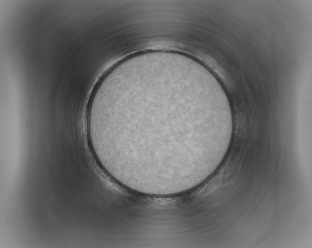 X0000112400848200909041334