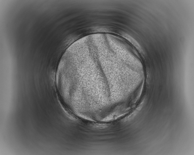 X0000112400849200909041334