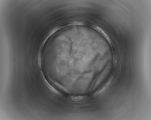 X0000112400851200909041334