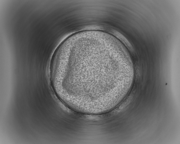X0000112400852200909041334