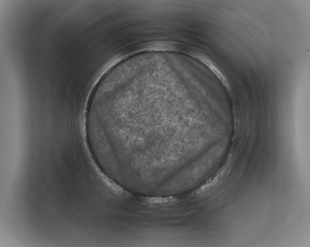 X0000112400853200909041335