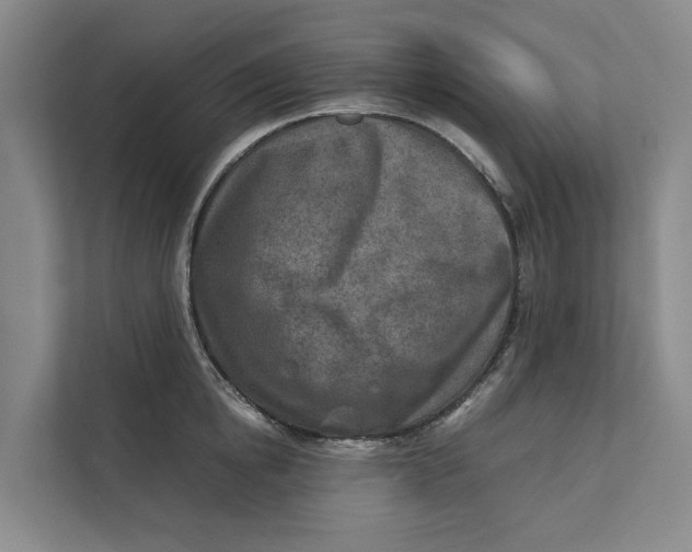 X0000112400854200909041335