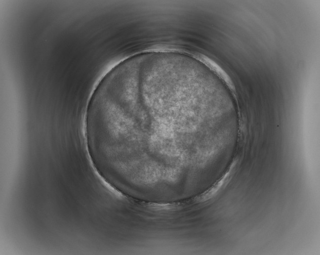 X0000112400855200909041335