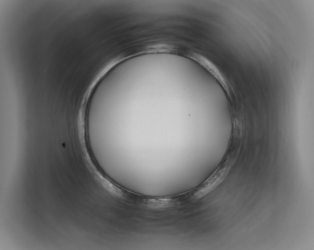 X0000112400859200909041335