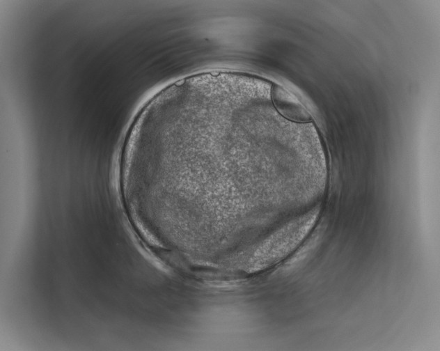 X0000112400862200909041335