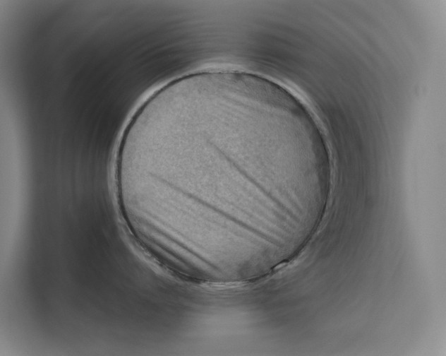 X0000112400864200909041335