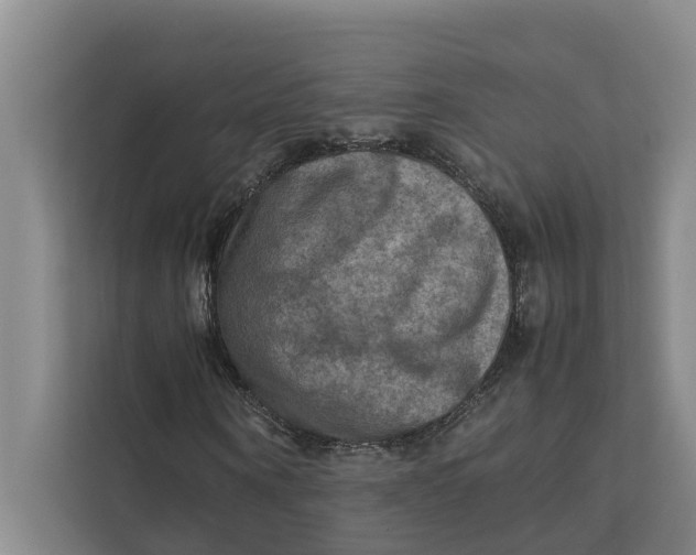 X0000112400866200909041334