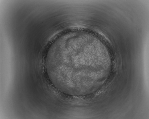 X0000112400870200909041334