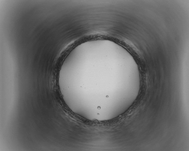 X0000112400872200909041334