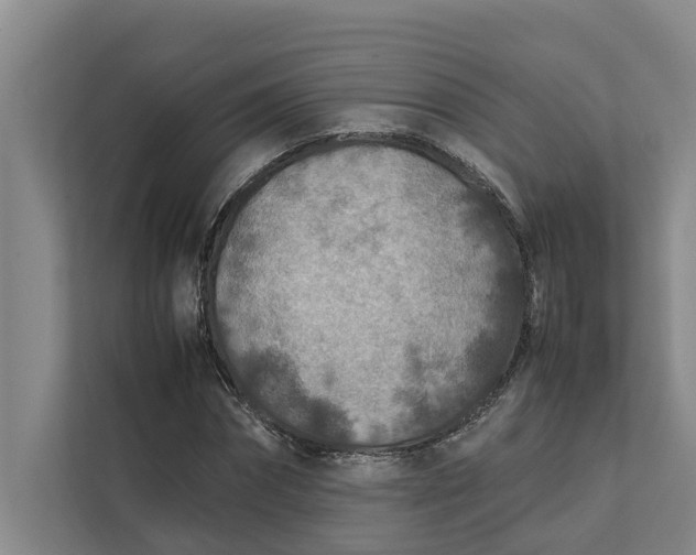X0000112400874200909041334