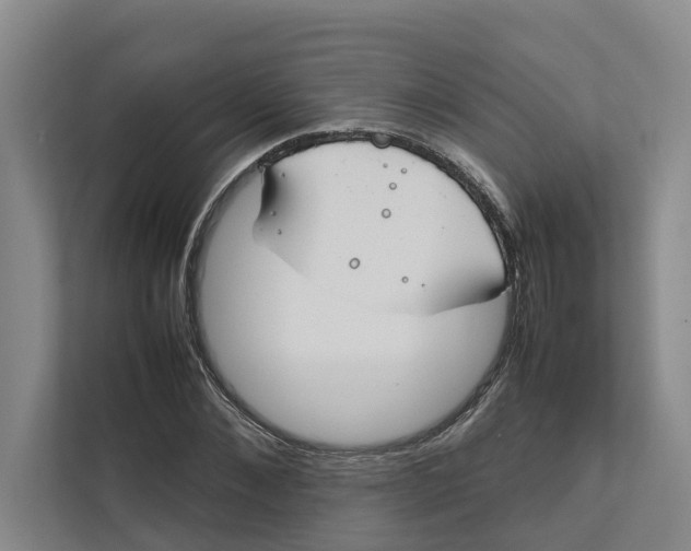 X0000112400876200909041334