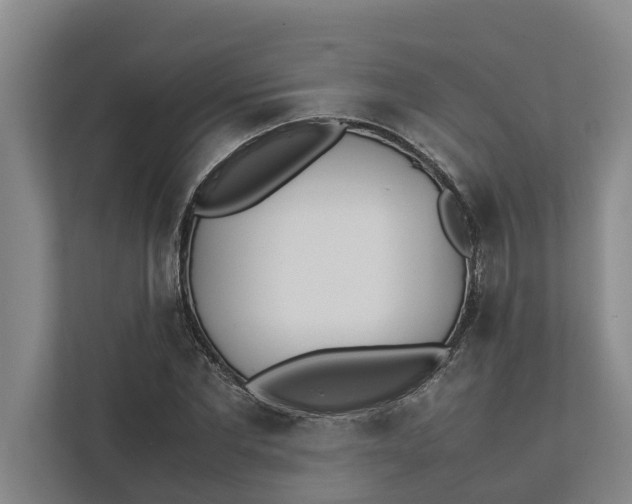 X0000112400877200909041334