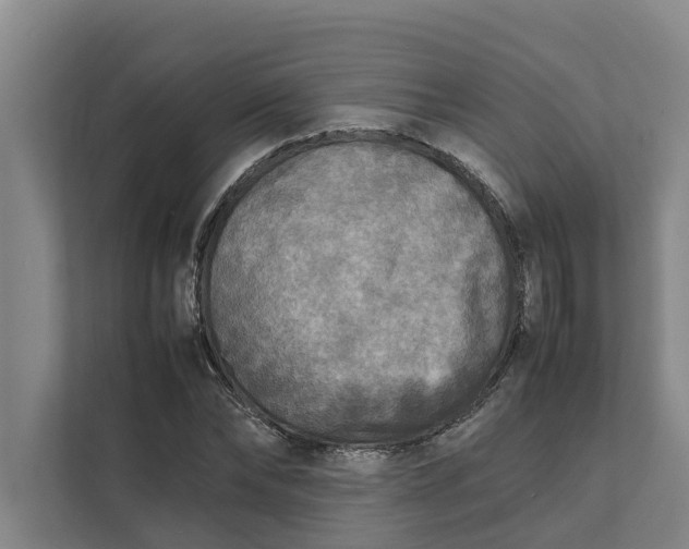 X0000112400878200909041334