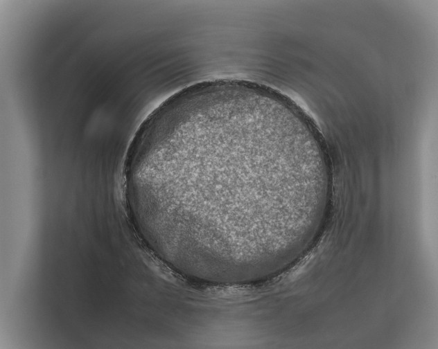 X0000112400879200909041334