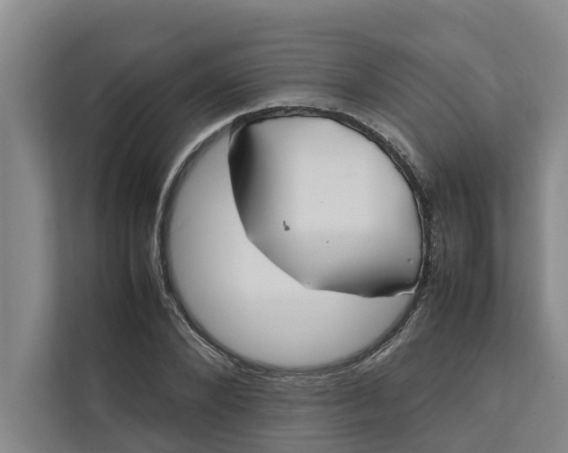 X0000112400880200909041334