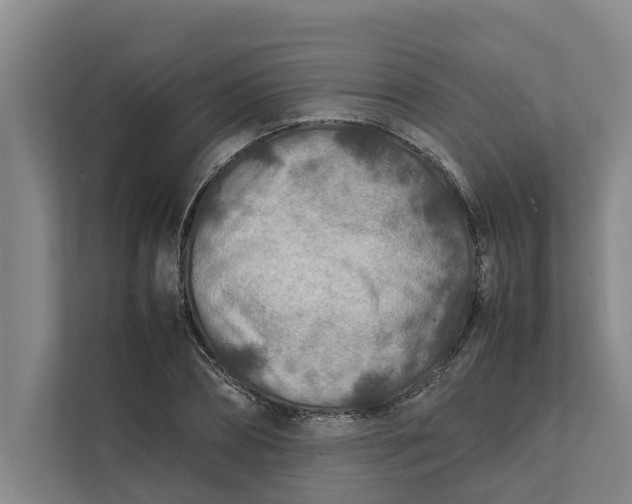 X0000112400882200909041334