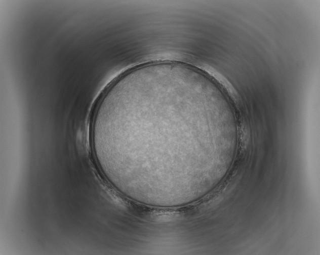 X0000112400886200909041334