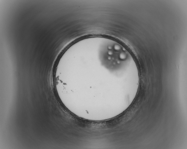 X0000112400887200909041334