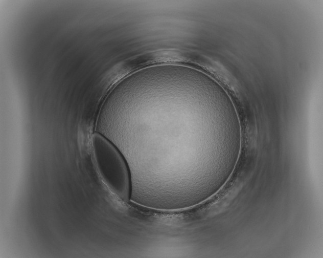 X0000112400889200909041334