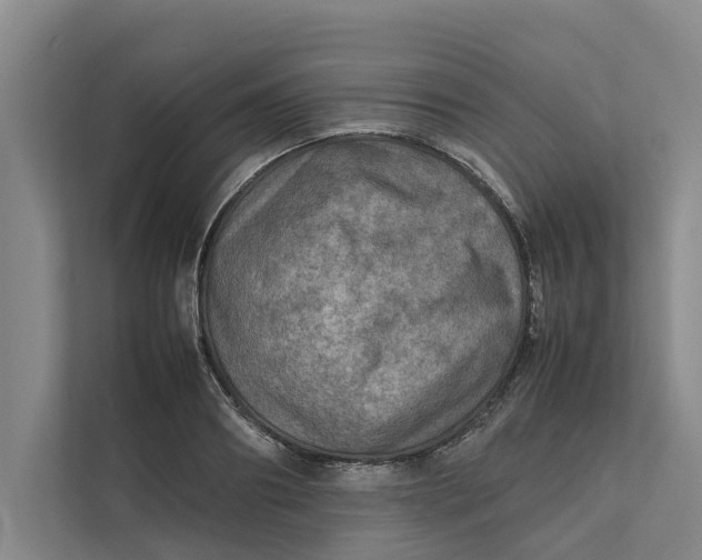 X0000112400890200909041334