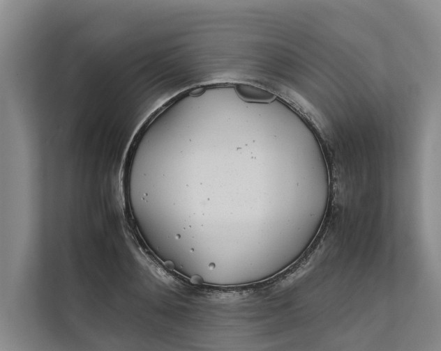 X0000112400892200909041334