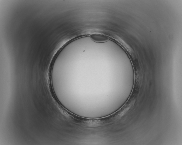 X0000112400893200909041334