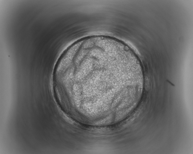 X0000112400895200909041334