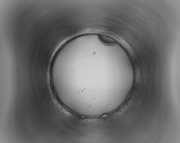 X0000112400896200909041334