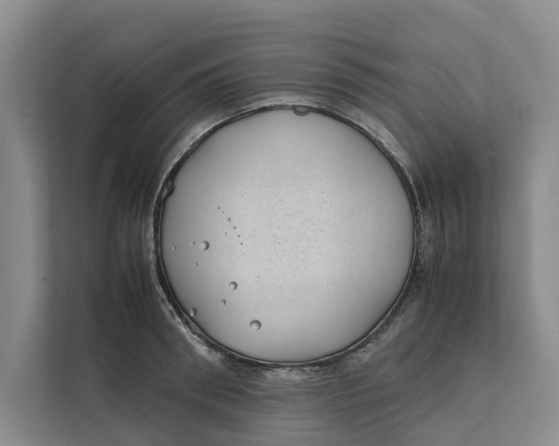 X0000112400898200909041334