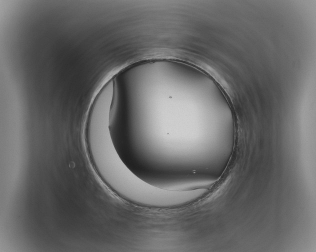 X0000112400901200909041334
