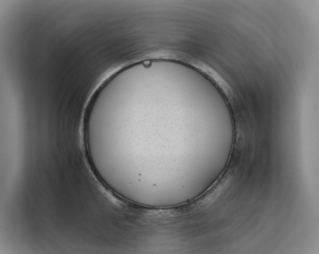 X0000112400902200909041334