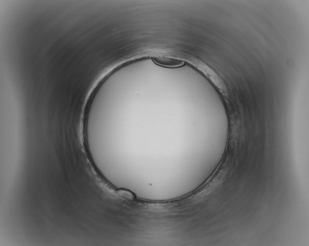 X0000112400904200909041334