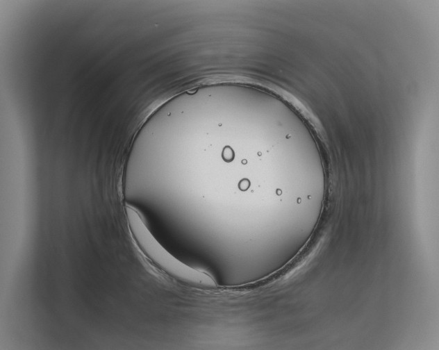X0000112400905200909041334