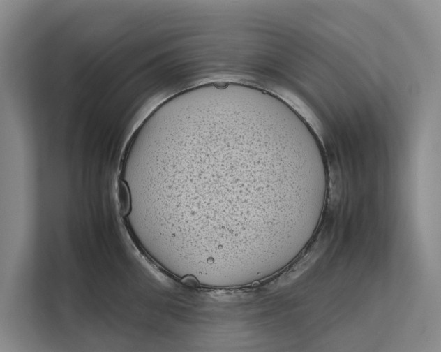 X0000112400906200909041333