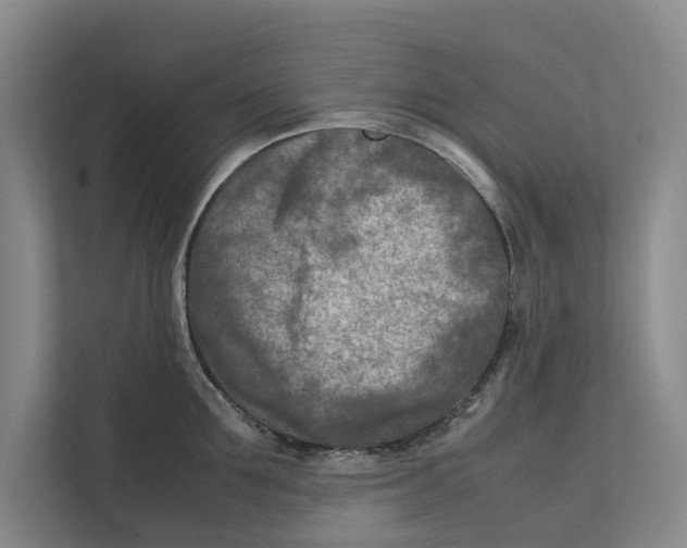 X0000112400907200909041333