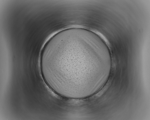 X0000112400910200909041333