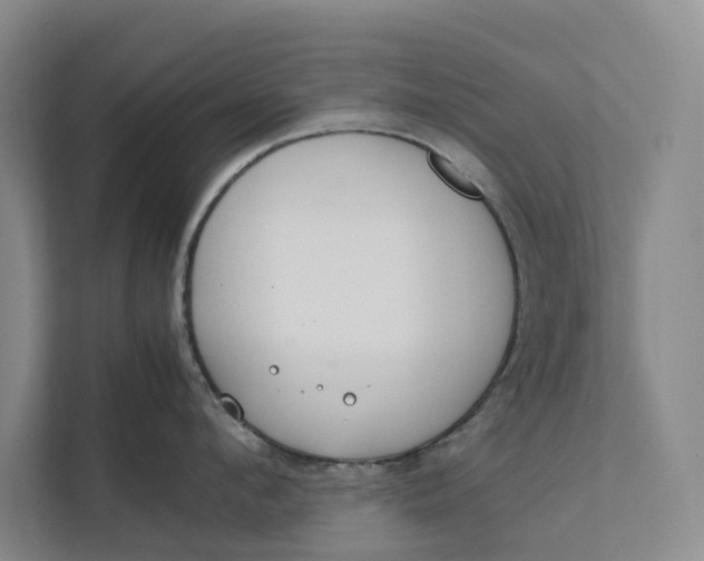 X0000112400912200909041333
