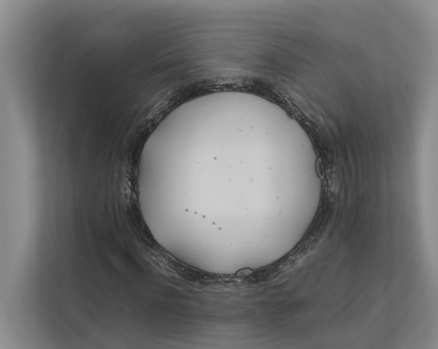 X0000112400916200909041333