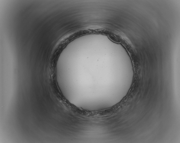 X0000112400920200909041333