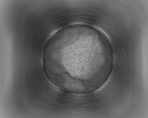 X0000112400921200909041333
