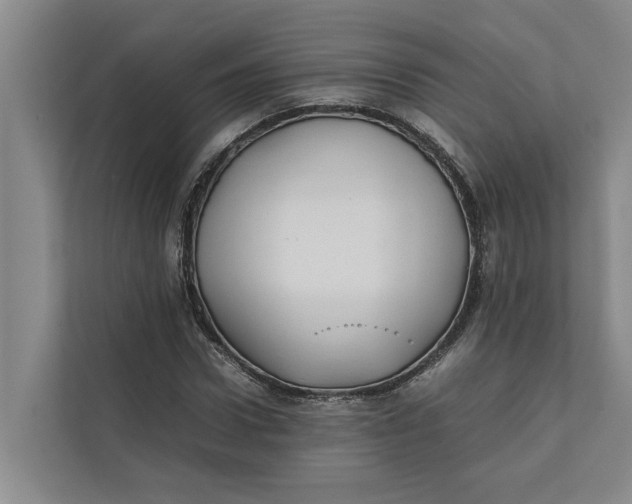 X0000112400922200909041333