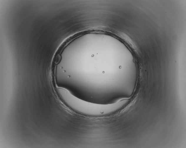 X0000112400924200909041333