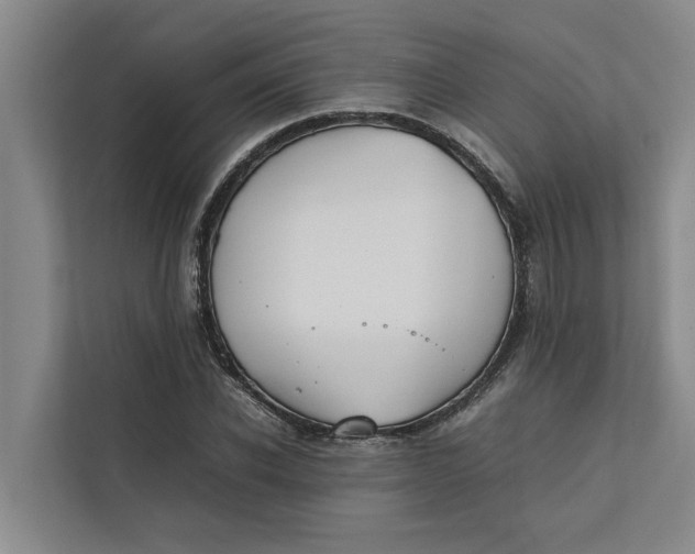 X0000112400926200909041333