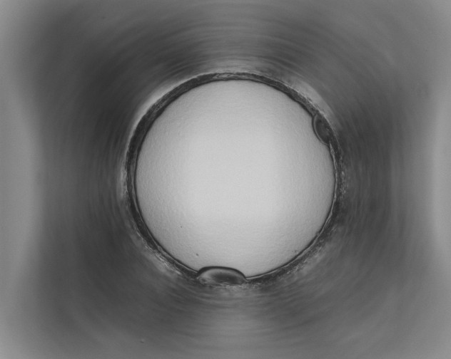 X0000112400928200909041333
