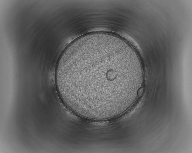 X0000112400937200909041333
