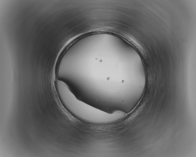 X0000112400940200909041333